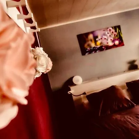 Jade Centre Ville Appartement *
